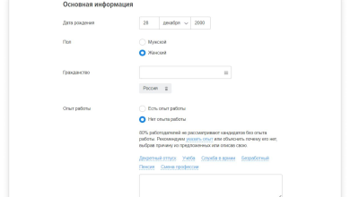 Photo of Фриланс без опыта работы