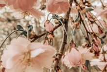 Photo of «Эффективные идеи для заработка»