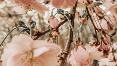 Photo of «Эффективные идеи для заработка»